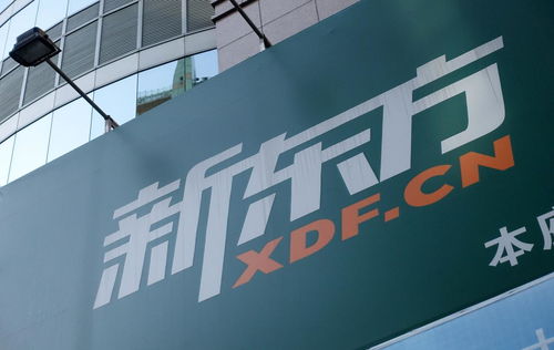 留学热潮降温，新东方出国中介业务面临转型阵痛