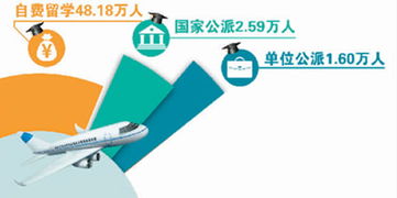 自费留学 中国留学热潮中的主力军与中介服务的角色分析